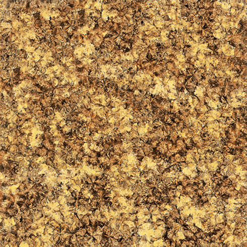 J9集团直营2.0厚微晶石：浅金啡KFB88012单片