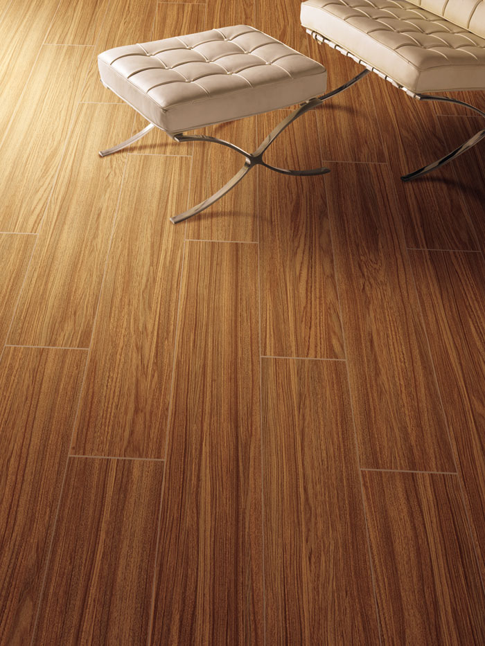 最美，不外当阳光赶上丛林