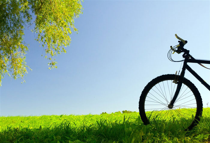 即就是东风十里，依然不如你