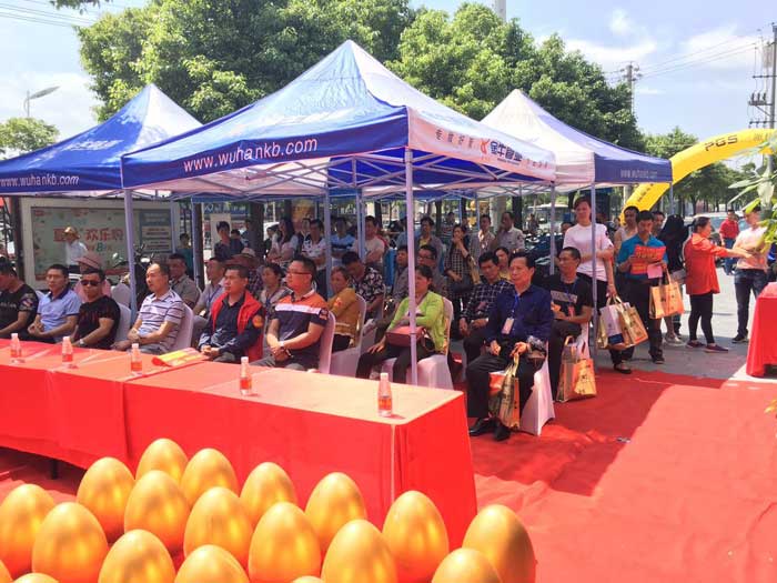 J9集团直营瓷砖 瓷砖代理 陶瓷一线品牌