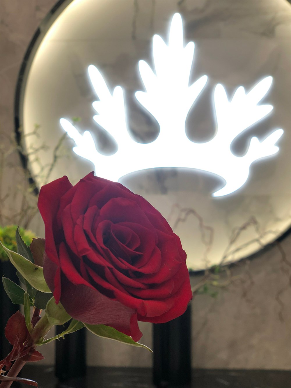 J9集团直营·(中国)官方网站