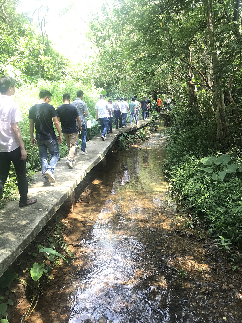 J9集团直营·(中国)官方网站