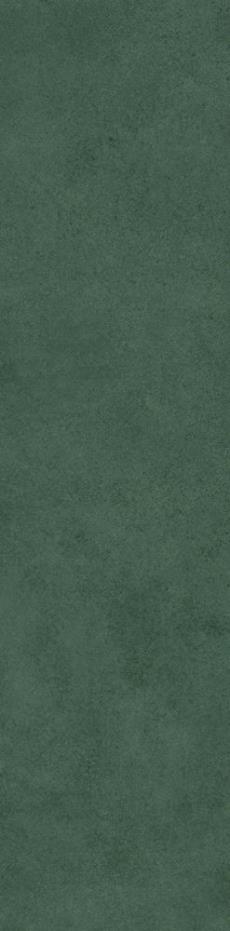 AA307526竹节(竹绿)